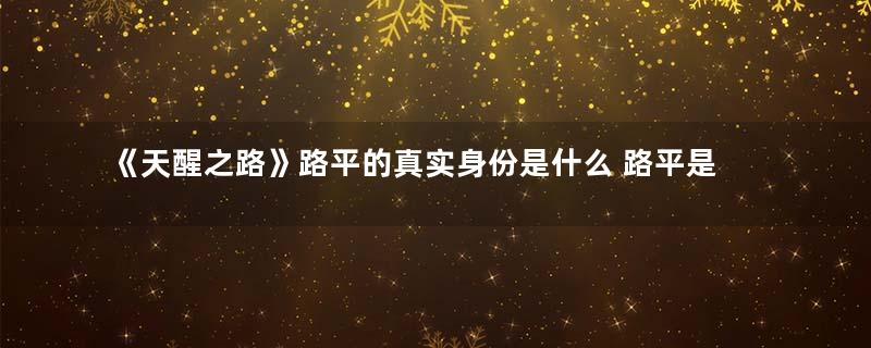 《天醒之路》路平的真实身份是什么 路平是天醒者吗